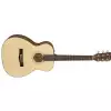 Fender Ct-60s, Natural