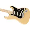 Fender Deluxe Stratocaster Maple Fingerboard, Vintage Blonde