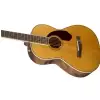 Fender PM-2 Standard Parlor Nat  Westerngitarre