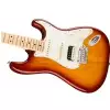 Fender American Pro Stratocaster HSS