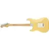 Fender Player Stratocaster MN BCR E-Gitarre
