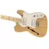 Fender 72 Telecaster Thinline E-Gitarre