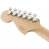 Fender Deluxe Stratocaster Pau Ferro Fingerboard, Black