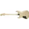 Charvel Pro-Mod San Dimas Style 1 Hh Ht E Ash, Aged Ebony Fingerboard, Natural Ash