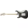 Fender Eric Clapton Stratocaster MN Pewter E-Gitarre