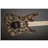 Charvel Warren Demartini Usa Signature Snake, Maple Fingerboard, Snakeskin