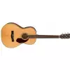Fender PM-2 Standard Parlor Nat  Westerngitarre