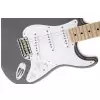 Fender Eric Clapton Stratocaster MN Pewter E-Gitarre