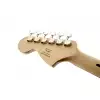 Fender Standard Stratocaster Fmt, Laurel Fingerboard, Amber Sunburst