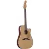 Fender Sonoran Sce Thinline, Natural