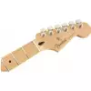 Fender Player Stratocaster MN BCR E-Gitarre