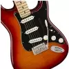 Fender Player Stratocaster Plus Top MN E-Gitarre 
