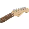 Fender Player Stratocaster PF PWT E-Gitarre 