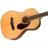 Fender PM-2 Standard Parlor Nat  Westerngitarre