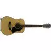 Ibanez SGT122NT Westerngitarre