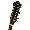 Ibanez SGT122NT Westerngitarre