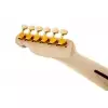 Fender Richie Kotzen Telecaster Maple Fingerboard Brown Sunburst E-Gitarre