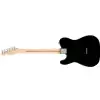 Fender American Pro Telecaster Maple Fingerboard, Black