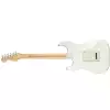 Fender Player Stratocaster PF PWT E-Gitarre 