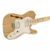 Fender 72 Telecaster Thinline E-Gitarre