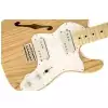 Fender 72 Telecaster Thinline E-Gitarre