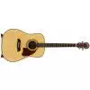 Washburn OG2-N Westerngitarre