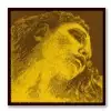 Pirastro Evah Pirazzi Gold A Geigen-Saite A 4/4 Pirastro Evah Pirazzi Gold A Geigen-Saite A 4/4