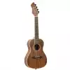 Ortega Horizon Series RUWN Konzert-Ukulele