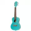 Ortega Earth Series RULAGOON Konzert-Ukulele