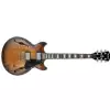 Ibanez AS V10A TCL ARTCORE E-Gitarre