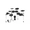 Alesis DM10 MkII Pro Kit