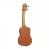 Canto C10S Soprano Ukulele