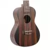 Canto DUC460 Konzert Ukulele mit Tasche 