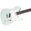 Fender American Performer Telecaster RW E-Gitarre