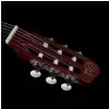 Godin Multiac Grand Concert Duet Elektro-Klassische-Gitarre 