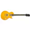 Epiphone Slash AFD Les Paul Performance Pack - E-Gitarre (Set)