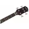 Epiphone Embassy Pro Bass AI Bassgitarre 