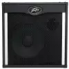 Peavey Tour 115 Lautsprecherboxen