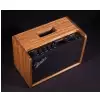 Fender Mustang Gt40 Masterbuilt Lavoa, 120v