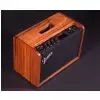 Fender Mustang Gt40 Masterbuilt Machiche, 120v