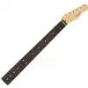 Fender American Professional Telecaster Neck, 22 Narrow Tall Frets, 9.5″ Radius, Rosewood