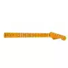 Fender Classic Series ′50s Stratocaster Neck, Lacquer Finish, 21 Vintage Frets, Soft ″V″ Shape, Maple Fingerboard