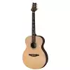 PRS SE Tonare TX20E