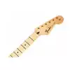 Fender Standard Series Stratocaster Neck, 21 Medium Jumbo Frets, Maple