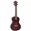 Baton Rouge V4-C VENUS Konzert Ukulele