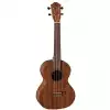 Baton Rouge UR21T Tenor Ukulele