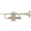 Vincent Bach AE190