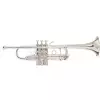 Vincent Bach C180SL229PC