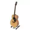 Takamine G220 Westerngitarre