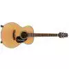 Takamine G220 Westerngitarre